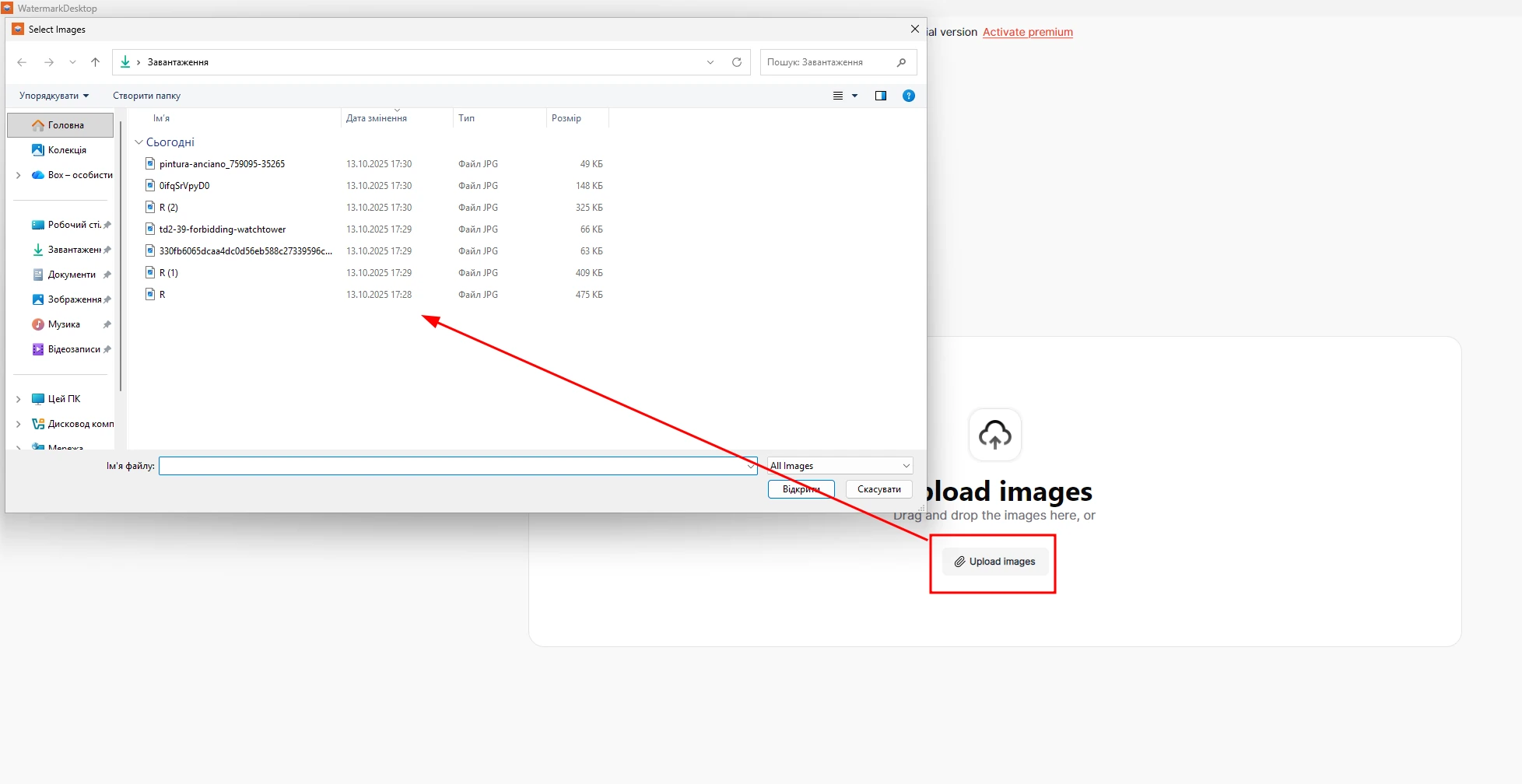 Image import page for further editing with watermarks in Watermark Desktop
